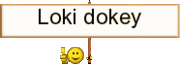 LokiDokey